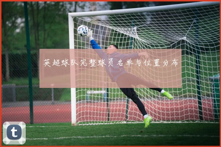 英超球队完整球员名单与位置分布
